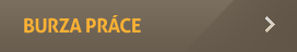 Burza práce